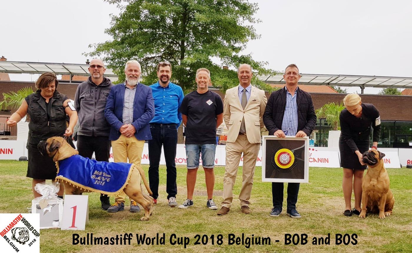 izložba_u_belgiji_2018_godine.jpeg